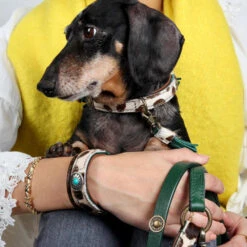 DWAM Hondenriem Ivy -Beste Dierenartikelen Winkel dwam hondenriem ivy 180697 1000 none