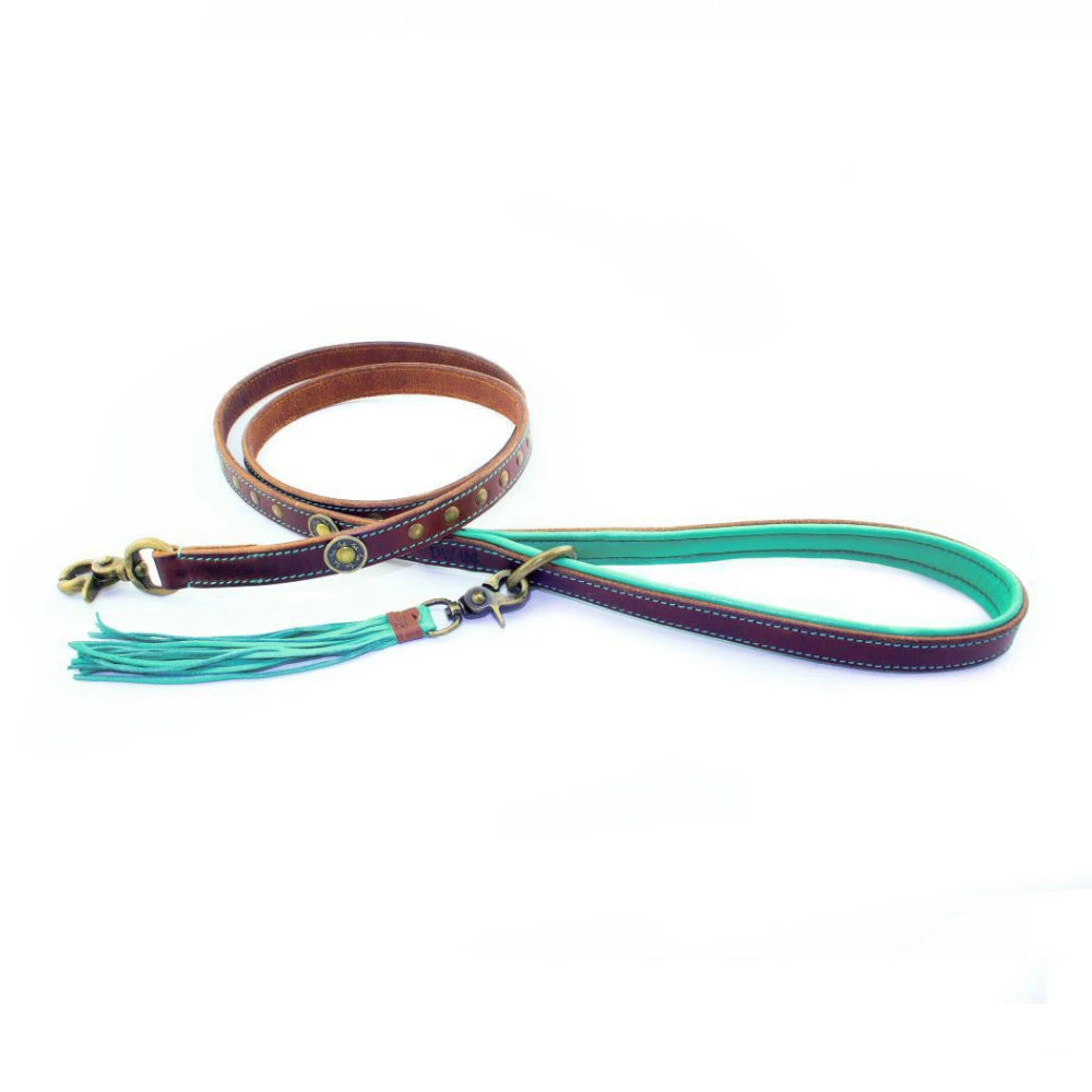 DWAM Hondenriem Joe 5 DWAM Hondenriem Joe - Afbeelding 5