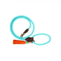 DWAM Hondenriem Turquoise -Beste Dierenartikelen Winkel dwam hondenriem turquoise 179857 1000 none