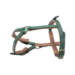 DWAM Hondentuigje Ivy 14 DWAM Hondentuigje Ivy -Beste Dierenartikelen Winkel dwam hondentuigje ivy 182737 1000 none