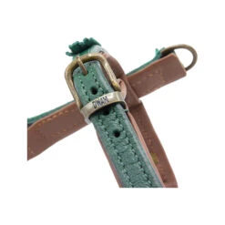 DWAM Hondentuigje Ivy 15 DWAM Hondentuigje Ivy -Beste Dierenartikelen Winkel dwam hondentuigje ivy 182740 1000 none