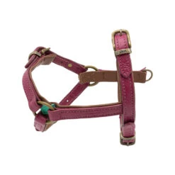 DWAM Hondentuigje Lou Lou 13 DWAM Hondentuigje Lou Lou -Beste Dierenartikelen Winkel dwam hondentuigje lou lou 182155 1000 none