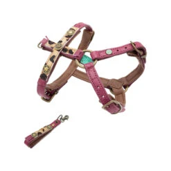 DWAM Hondentuigje Lou Lou 12 DWAM Hondentuigje Lou Lou -Beste Dierenartikelen Winkel dwam hondentuigje lou lou m 109759 1000 none