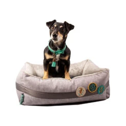 DWAM Jungle Love Mand -Beste Dierenartikelen Winkel dwam jungle love mand 186595 1500 none