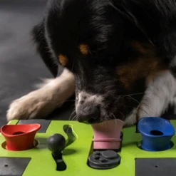 Eat Slow Live Longer Puzzle Antischrok Voerbak -Beste Dierenartikelen Winkel eat slow live longer puzzle antischrok voerbak 220720 0500 none