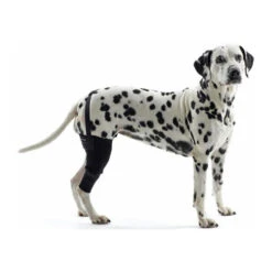Kruuse Rehab Kniebeschermer -Beste Dierenartikelen Winkel ebd5586684e37c2c51e25c660fc760427a91e660fab24c8bc737bbaba85c86a2 3