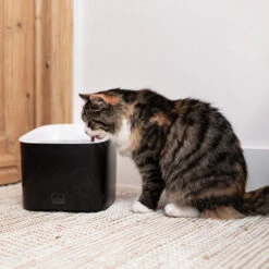 Ebi Manoa Drinkfontein -Beste Dierenartikelen Winkel ebi manoa drinkfontein 221800 1000 none