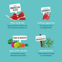 Edgard & Cooper Adult - Lam & Rund - Kuipje 15 Edgard & Cooper Adult - Lam & Rund - Kuipje -Beste Dierenartikelen Winkel edgard cooper adult lam rund kuipje 168639 1000 none