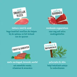 Edgard & Cooper Adult - Rund & Eend - Kuipje 16 Edgard & Cooper Adult - Rund & Eend - Kuipje -Beste Dierenartikelen Winkel edgard cooper adult rund eend kuipje 168615 1000 none