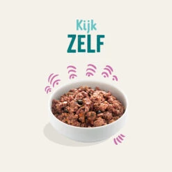 Edgard & Cooper Adult - Wild & Eend - Blik 11 Edgard & Cooper Adult - Wild & Eend - Blik -Beste Dierenartikelen Winkel edgard cooper adult wild eend blik 168558 2000 none