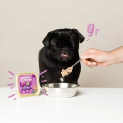 Edgard & Cooper Adult - Wild & Eend - Kuipje 13 Edgard & Cooper Adult - Wild & Eend - Kuipje -Beste Dierenartikelen Winkel edgard cooper adult wild eend kuipje 168648 1000 none