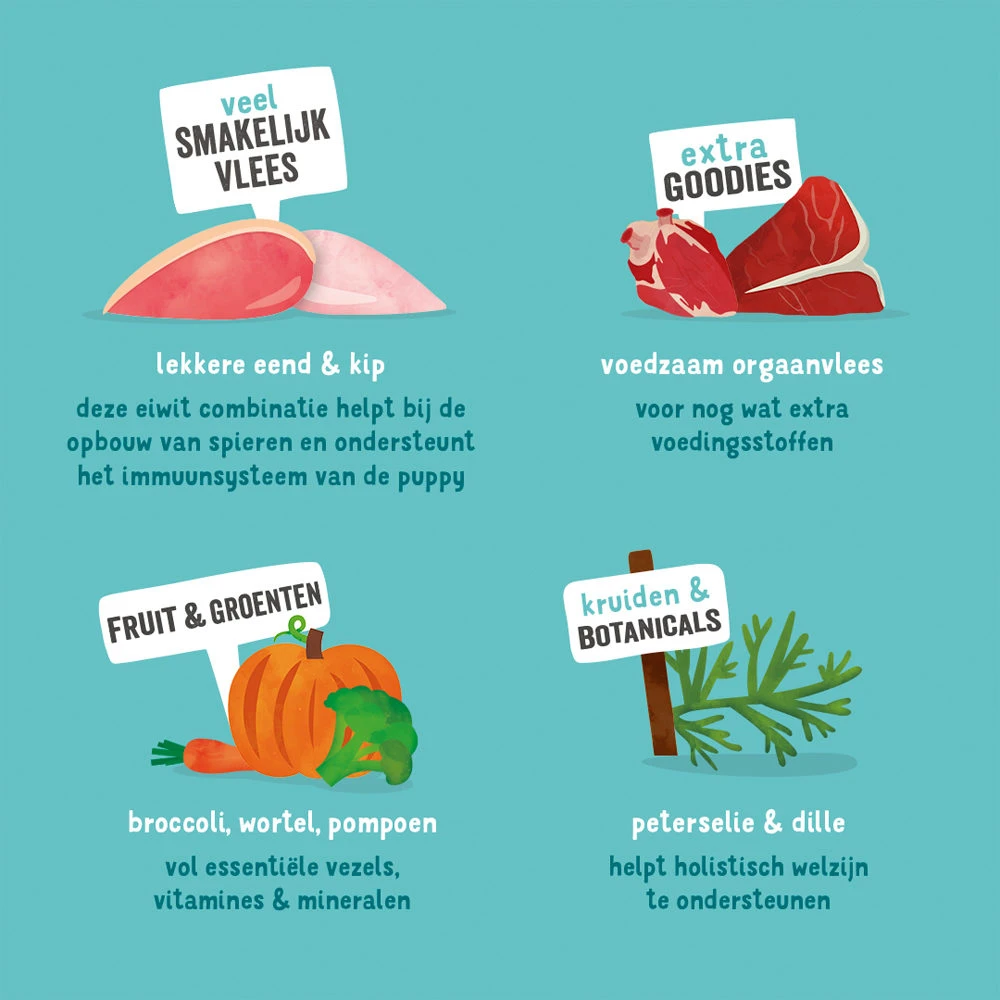 Edgard & Cooper Puppy - Eend & Kip - Kuipje 8 Edgard & Cooper Puppy - Eend & Kip - Kuipje - Afbeelding 8