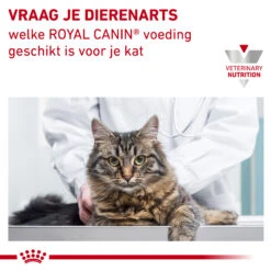 Royal Canin Urinary S/O Kat 19 Royal Canin Urinary S/O Kat -Beste Dierenartikelen Winkel eogY4Y9VYmtQMb0RC7upcWhheC1Gn4 metaVVJJTkFSWS1TTy1MT0FGLTcuanBn
