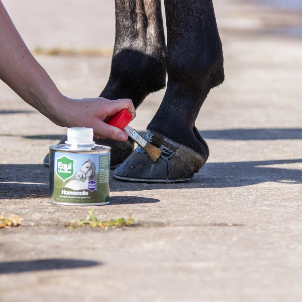 Equi Protecta Hoevenolie 3 Equi Protecta Hoevenolie - Afbeelding 3