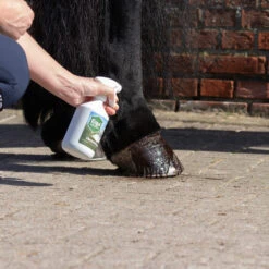 Equi Protecta Hoevenspray 6 Equi Protecta Hoevenspray -Beste Dierenartikelen Winkel equi protecta hoevenspray 161270 1000 none