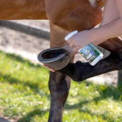 Equi Protecta Hoevenspray 7 Equi Protecta Hoevenspray -Beste Dierenartikelen Winkel equi protecta hoevenspray 161273 1000 none