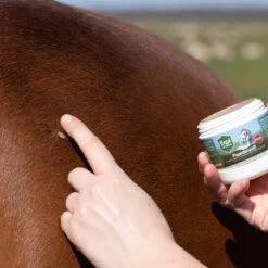 Equi Protecta Paardenzalf 8 Equi Protecta Paardenzalf -Beste Dierenartikelen Winkel equi protecta paardenzalf 161327 1000 none