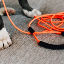 Kentucky Dogwear Sleeplijn Soft Rubber -Beste Dierenartikelen Winkel fL07AS6O7q41v20rSEjIbFFb3sVhGI metaS2VudHVja3ktRG9nd2Vhci1TbGVlcGxpam4tU29mdC1SdWJiZXItb3JhbmdlLXNmZWVyLnBuZw