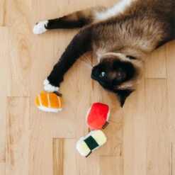 P.L.A.Y. Pet Feline Frenzy Cat Toy - Sushi -Beste Dierenartikelen Winkel feline frenzy cat toy sushi 198092 1000 none