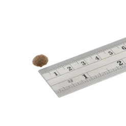 Fish4Dogs Finest Adult Complete - Sardine Kleine Brok -Beste Dierenartikelen Winkel fish4dogs finest adult complete sardine kleine brok 160934 1000 none