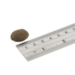 Fish4Dogs Finest Adult Complete - Zalm Grote Brok -Beste Dierenartikelen Winkel fish4dogs finest adult complete zalm grote brok 160940 1000 none