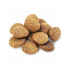 Fish4Dogs Finest Adult Complete - Zalm Grote Brok -Beste Dierenartikelen Winkel fish4dogs finest adult complete zalm grote brok 160943 1000 none