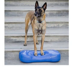 FitPAWS K9Fitbone 5 FitPAWS K9Fitbone -Beste Dierenartikelen Winkel fitpaws k9fitbone 109639 0500 none
