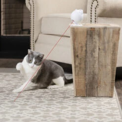 Frolicat Dancing Dot 9 Frolicat Dancing Dot -Beste Dierenartikelen Winkel frolicat dancing dot 184735 1000 none