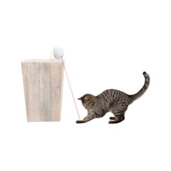Frolicat Dancing Dot 10 Frolicat Dancing Dot -Beste Dierenartikelen Winkel frolicat dancing dot 184738 1000 none