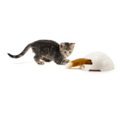 FroliCat Fox -Beste Dierenartikelen Winkel frolicat fox 136600 2000 none