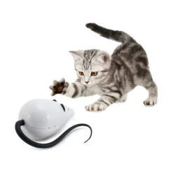 FroliCat RoloRat 9 FroliCat RoloRat -Beste Dierenartikelen Winkel frolicat rolorat 136585 2000 none