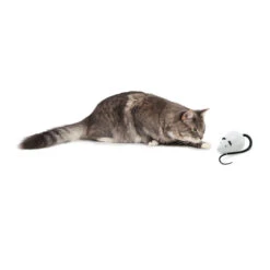 FroliCat RoloRat 10 FroliCat RoloRat -Beste Dierenartikelen Winkel frolicat rolorat 136588 2000 none