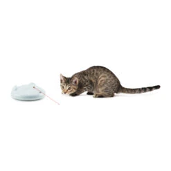 FroliCat Zip 11 FroliCat Zip -Beste Dierenartikelen Winkel frolicat zip 136633 2000 none