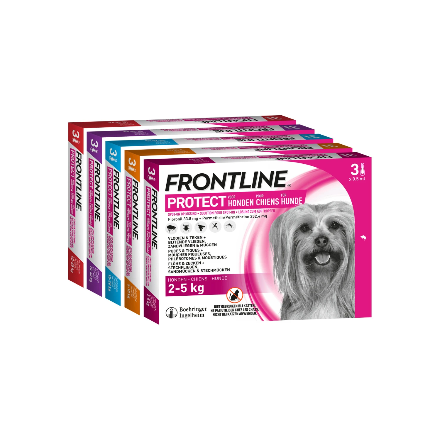 Frontline Protect Hond Spot On 6 Frontline Protect Hond Spot On - Afbeelding 6