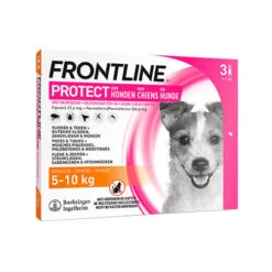 Frontline Protect Hond Spot On 24 Frontline Protect Hond Spot On -Beste Dierenartikelen Winkel frontline protect hond spot on 192812 0500 none