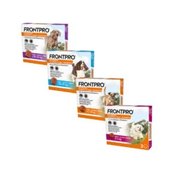 FRONTPRO Kauwtabletten Hond -Beste Dierenartikelen Winkel frontpro kauwtabletten hond 219039 1500 none