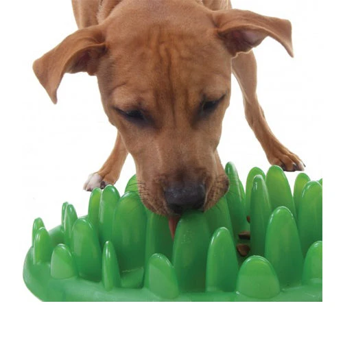 Company Of Animals Green Slow Dog Feeder 3 Company Of Animals Green Slow Dog Feeder - Afbeelding 3