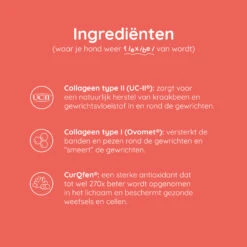 Greenfields Mobility+ 11 Greenfields Mobility+ -Beste Dierenartikelen Winkel greenfields mobility 208394 2000 none