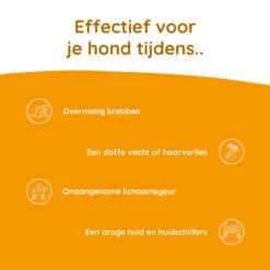 Greenfields Skin+ -Beste Dierenartikelen Winkel greenfields skin 208436 2000 none