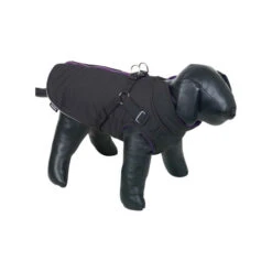 Nobby Hondenjas Sobak -Beste Dierenartikelen Winkel hQWcOLZc59ufZPTnJZr8d8cougrYCS metabm9iYnlfaG9uZGVuamFzX3NvYmFrXzIxNjkxNV8wNTAwX25vbmUuanBn