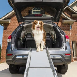 Happy Ride Telescoping Pet Ramp Deluxe -Beste Dierenartikelen Winkel happy ride telescoping pet ramp deluxe 162499 1000 none