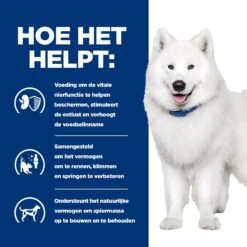 Hill's K/d + Mobility - Prescription Diet - Canine -Beste Dierenartikelen Winkel hills kd mobility prescription diet canine 212207 2000 none