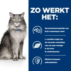 Hill's L/d Liver Care -Prescription Diet - Feline 12 Hill's L/d Liver Care -Prescription Diet - Feline -Beste Dierenartikelen Winkel hills ld liver care prescription diet feline 218154 2000 none