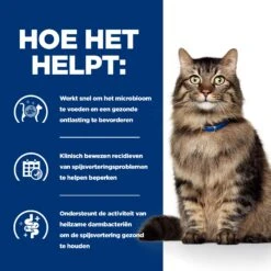 Hill's Prescription Diet - Gastrointestinal Biome - Kattenvoer 18 Hill's Prescription Diet - Gastrointestinal Biome - Kattenvoer -Beste Dierenartikelen Winkel hills prescription diet gastrointestinal biome kattenvoer 211898 2000 none