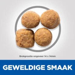 Hill's Science Plan - Adult - Large - Lamb -Beste Dierenartikelen Winkel hills science plan adult large lamb 218825 0500 none