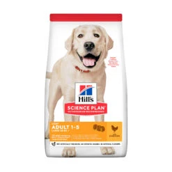 Hill's Science Plan Light - Large Adult Dog -Beste Dierenartikelen Winkel hills science plan adult light large 149840 2000 none