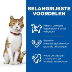 Hill's Science Plan - Feline Adult - Sterilised - Chicken - Maaltijdzakje -Beste Dierenartikelen Winkel hills science plan feline adult sterilised chicken 218804 0500 none 1