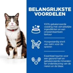 Hill's Science Plan - Feline Culinary Creations - Zalm -Beste Dierenartikelen Winkel hills science plan feline culinary creations zalm 221402 0500 none