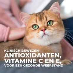 Hill's Science Plan - Feline Senior Vitality - Maaltijdzakje 10 Hill's Science Plan - Feline Senior Vitality - Maaltijdzakje -Beste Dierenartikelen Winkel hills science plan feline senior vitality 218664 0500 none 1