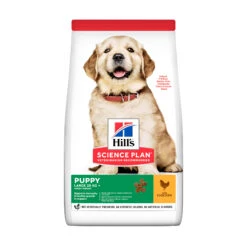 Hill's Science Plan - Large Puppy -Beste Dierenartikelen Winkel hills science plan puppy healthy development large 150503 2000 none